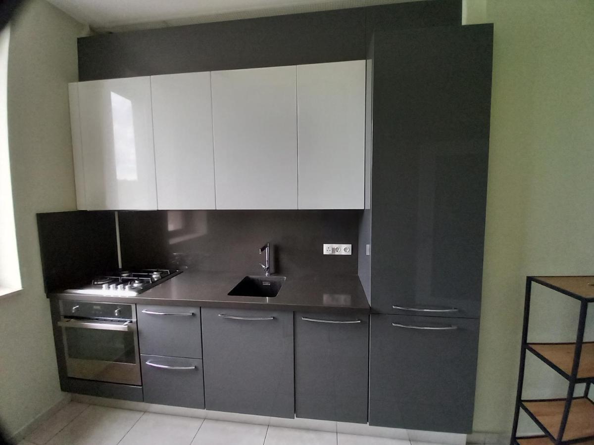 Herastrau Apartment Bükreş Dış mekan fotoğraf